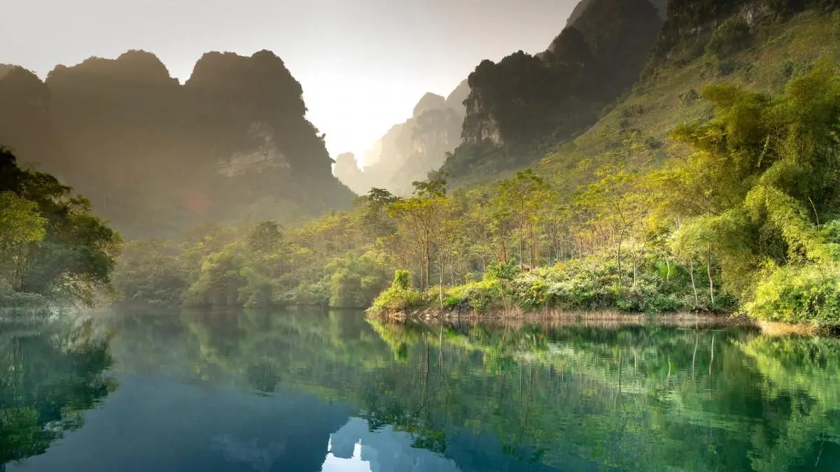 独特高端